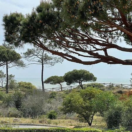 Praia Da Falesia Alfa Mar Albufeira Olhos de Agua  Ngoại thất bức ảnh