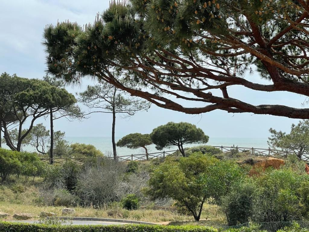 Praia Da Falesia Alfa Mar Albufeira Olhos de Agua  Ngoại thất bức ảnh